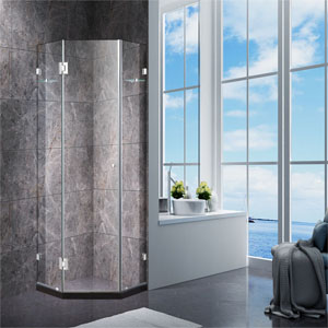 Frameless Shower Screen